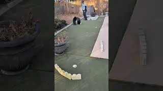 #golf⛳ putting trick long loop putt hole 🕳️1 #short