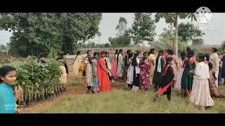 Students Field Visit Nursery 