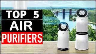 Top 5 Best Air Purifiers in 2026