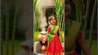 Pongal Wishes 2026 | Happy Pongal Greetings #BeatriceBojes #pongalwhatsappstatusvideo