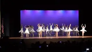 VCDPA 2019 CMS Cougarettes 