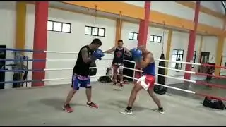 Eddy comaro