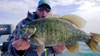 The Battle of Beauchene | Facts of Fishing Season 11