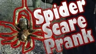 SPIDER - Scare Prank
