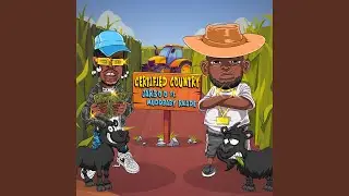 Certified Country (feat. Rkade) (Radio Edit)