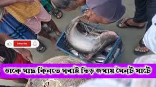 ডাকে মাছ কিনতে সবাই ভির জমায় মৈনট ঘাটে ||