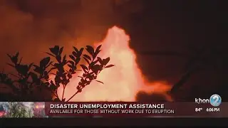 disaster unemployment benefits