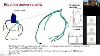 SimVascular Tutorial 9: Coronary boundary condition