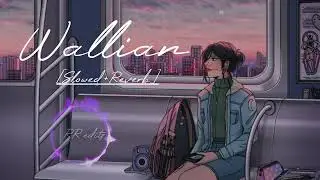 Wallian | Slowed+Reverb | Lofi-Remix |@RoyalRahul