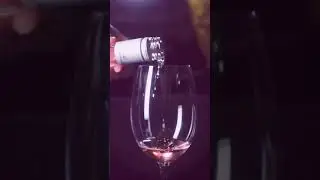 Novo Vinho Garibaldi Pinot Noir!