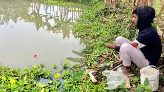 How a village boy catches fish in the river hook video Fr village fishing 