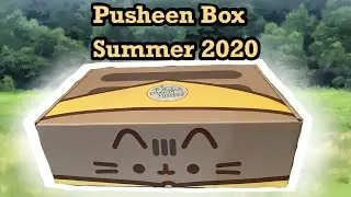 ⛺️Pusheen Box Summer 2020⛺️