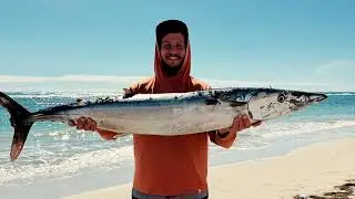4-5 Miles Offshore On My Cape Horn 17!! Check Out What We Caught! #offshore #wahoo #offshorefishing 