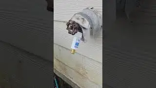 Freeze Miser Working