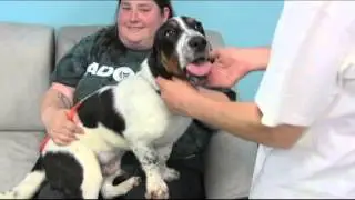 WMTR's Rock N Ruff with Buster