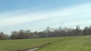 Matt's logo 600 crash