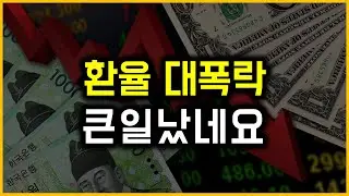 환율 대폭락 - 큰일났네요