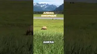 АЛЯСКА АНКОРИДЖ