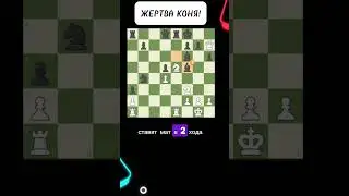 РЕШАЙ ТАКТИЧЕСКИЕ ЗАДАЧИ! #шахматы