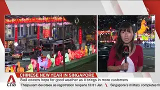 Chinatown light-up features 8.8-metre-tall golden horse, festivities to run until March 18