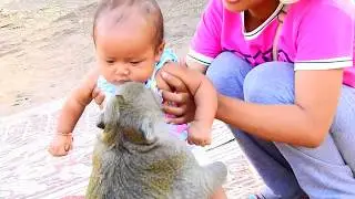 Adorable monkey Sok take good care to cute humkidan kid | Amazing human kid with monkey Sok
