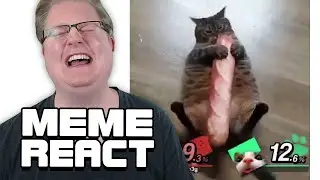 React: Endlich eine gute MEME-Compilation