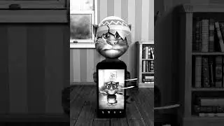 Talking Tom 2 