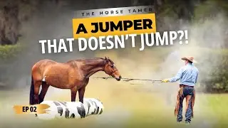 Why Pressure Makes Jumping Worse | Ep. 2 The Horse Tamer (Candice & Harley)