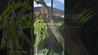 GARDEN INSPIRATION🪴 #ландшафтныйдизайн #landscape #bali #бали #garden #inspiration #сад