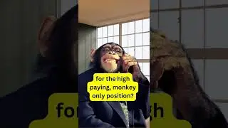 Monkey Business