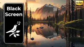 Magical Dawn Chorus Morning Sounds on Mountain Pond | Relaxing Bird and Frog Sounds (Black Screen)