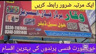 Fancy birds sale shop in Haripur | how to identify original breeds | nasli parindo ke pehchan