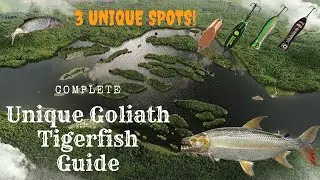 Complete Unique Goliath Tigerfish Guide | Congo River | Fishing Planet