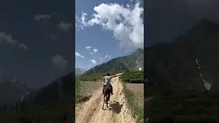 #travel #naran #kaghan #tourism #viralvideo #animals #beauty #foryou