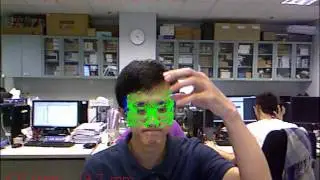 Real-time head pose tracking with online face template reconstruction
