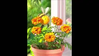 Life's Good: LG Global World Bee Day | LG