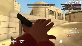 Team fortress: Global offensive (TF:GO)