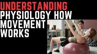 The Physiology Guide: How Movement Works
