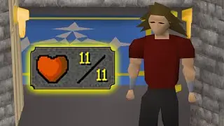 My Hitpoints Level is 11. (Series Finale)