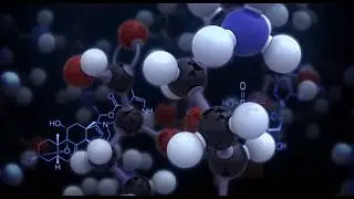 Dynamic Nuclear Polarization