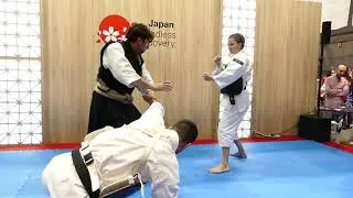 Shorinji kempo en el FITUR Madrid 2020