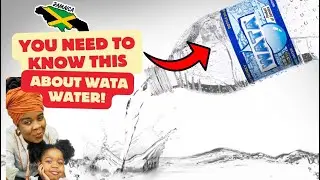 Факты о воде WATA на Ямайке, которые вам нужно знать 🤔 Мой визит в Голубые горы на Ямайке