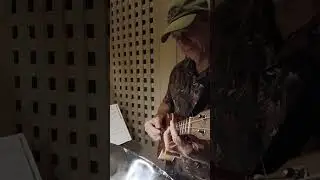 Three Little Birds played on Ukulele by Sean M Live at Tommy Bahamas!