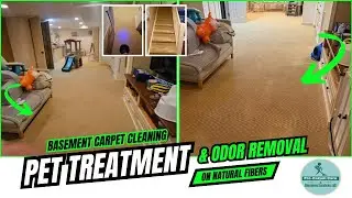 Basement Carpet Cleaning | Pet Treatment & Odor Removal on Natural Fibers | Short Hills NJ