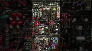 #bass #techno #eurorack #electronicmusic #modular #distortion #livemusic #improvisation