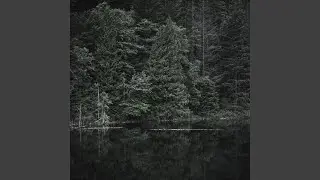 Reflections on the River