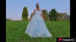 HEBEOS REVIEWS-Ball Gown Tulle Applique V-neck Sleeveless Sweep/Brush Train Dresses