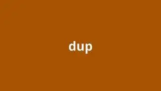 what is the meaning of dup.