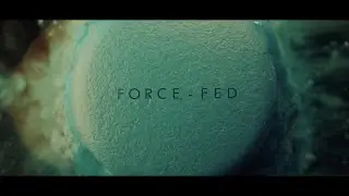Bury The Kingdom // Force Fed [Lyrics Video]