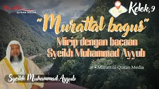 Murattal bagus mirip dengan bacaan Syeikh Muhammad Ayyub Imam Masjid Madinah #murattililquranmedia